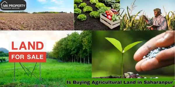 Is Buying Agricultural Land in Saharanpur