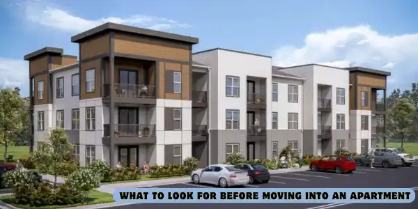 What to Look for Before Moving Into an Apartment